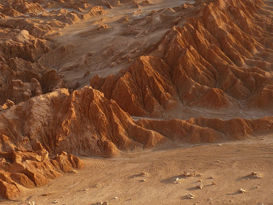 Guide to the Atacama Crossing marathon