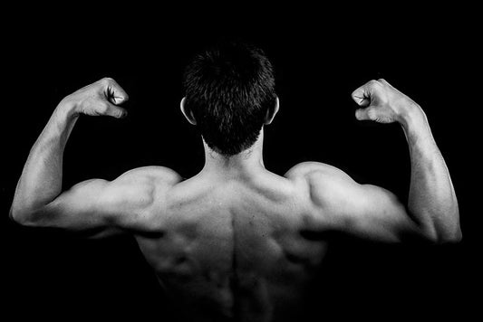 How you can get better overall fitness and shape by using a pull up bar