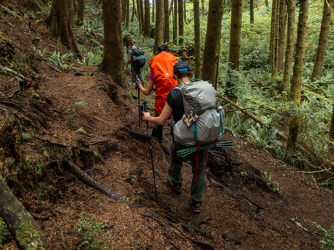 Trekking with Confidence: The Benefits of Hiking Poles and How to Use Them