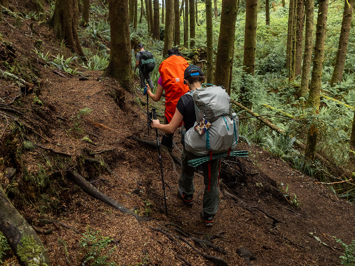 Trekking with Confidence: The Benefits of Hiking Poles and How to Use Them