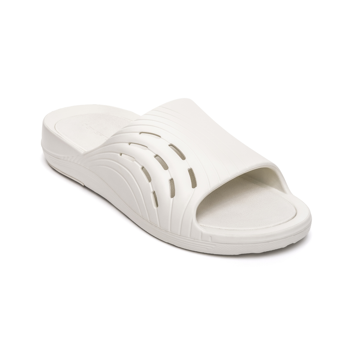 Enertor Recovery Slides