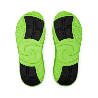 Enertor Recovery Slides