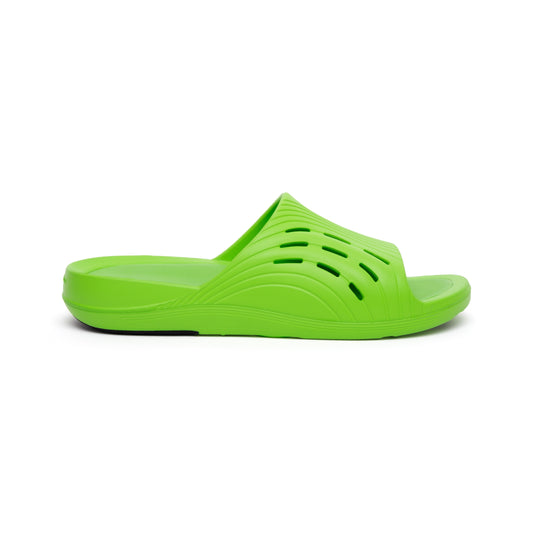 Enertor Recovery Slides